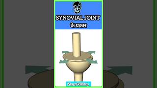 Synovial joint part 3 🦴💀shorts trending 📈biology viralvideo facts science neet ytshots yt😱 [upl. by Hoffmann]