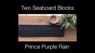 Purple Rain Two Roli Seaboard Blocks [upl. by Anelis522]