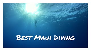 Where to SCUBA dive in Maui [upl. by Ddet]