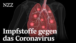 Coronavirus Diese Impfstoffe sollen Covid19 stoppen [upl. by Nichol]