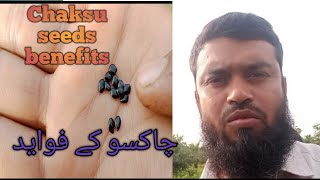 Chaksoo plant introduce and seeds benefitsچاکسو کا پودا اور تخم چاکسو کے فوایدDeccanayurvedic3233 [upl. by Birk]