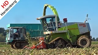 Mais Silage On Tracks  Claas Jaguar 880  Jan Rauw amp Damsteegt  2015 [upl. by Gussie]