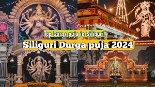 Siliguri Best Durga Puja 2024 Champasari amp Maya Devi Club durgapuja2024 siliguridurgapuja pandal [upl. by Itak]