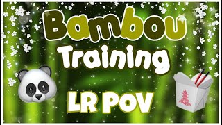 Bambou Training 1  TRAINEE POV [upl. by Roana]