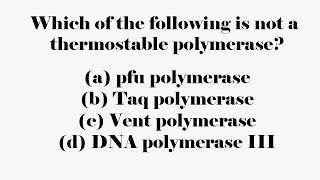 Which of the following is not a thermostable polymerase [upl. by Adrien752]