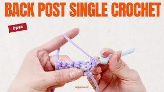 Back Post Single Crochet bpsc  Easiest Beginner Tutorial [upl. by Thornburg]