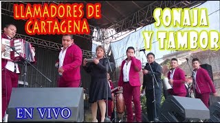 SONAJA Y TAMBORLLAMADORES DE CARTAGENA En Vivo [upl. by Boswell551]