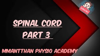 Spinal Cord  Part 3  Ascending Tracts  Origin Course Termination  Neurophysiology  Medical [upl. by Stauffer148]