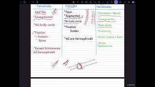 شرح مدخل الطفيليات Medical parasitology 1Nematodes 2cestodes 3Trematodes المحاضرة الأولى [upl. by Rafaelita]