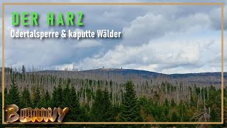 Der Harz  Odertalsperre amp kaputte Wälder 😢 [upl. by Ellery]