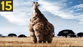 15 FATTEST Animals Ever Seen [upl. by Claus]