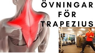 Övningar för trapezius [upl. by Rebeca]