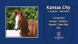 Foal AuctionFalsterbo Horse Show  Nr 10 Kansas City [upl. by Stutzman]