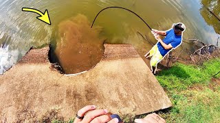 300 LB MONSTER in a STORM DRAIN [upl. by Vitus391]