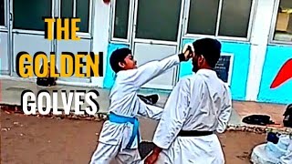 THE GOLDEN GLOVES 2024 [upl. by Endres]