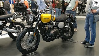 New Triumph Line Up For 2025 [upl. by Nrobyalc]