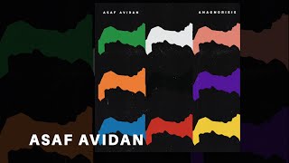 Asaf Avidan  Wildfire Official audio [upl. by Carter394]