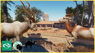 Antelope Double Feature ADDAX amp DAMA  Wahat Jamila  Planet Zoo  6 [upl. by Yaluz]