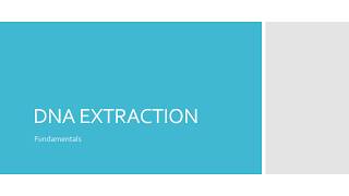 DNA EXTRACTION BASICS [upl. by Hole309]