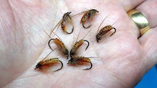 Tying a Gary Lafontaine Caddis Pupa Variant by Davie McPhail [upl. by Linson]