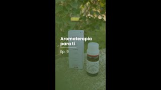 Aromaterapia Para T1 Ep 9  Óleo Essencial Cravo da Índia [upl. by Ruosnam729]