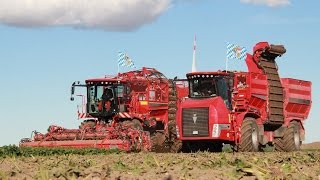 Holmer Terra Dos holt Weltrekord in der Rübenernte Der Film [upl. by Nylzor]