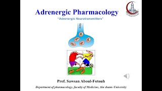 Adrenergic NS 1 Neurotransmitters [upl. by Adelaida344]