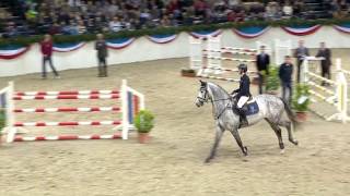 Holsteiner Premium Stallion Clarcon [upl. by Anaej]