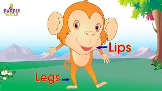 Head Shoulders Knees amp Toes  Exercise Song For Kids  Nursery Rhymes [upl. by Lj]