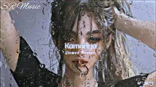 kamariya  slowed  reverb SR Music [upl. by Riocard53]