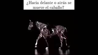 DOMINANCIA CEREBRAL Test del Caballo [upl. by Htrap562]