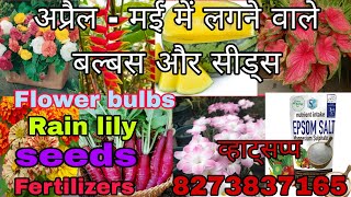 summer flower bulbs update video lily bulbs  rhyzomes and tuber seeds fertilizer [upl. by Lady249]