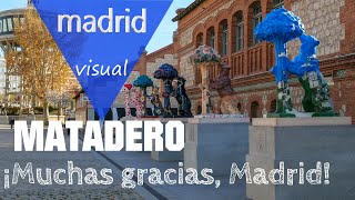 MATADERO MADRID  Osos y Madroños quot¡Muchas Gracias Madridquot [upl. by Minerva]