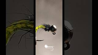 Candy Caddis for Winter Grayling flytying flyfishing fishing handmade asmr satisfying fyp [upl. by Crandall133]