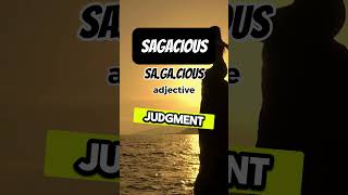 Sagacious [upl. by Margalo]