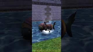 Wizard101 Fish Of The Day Soul Searcher wizard101 fishing wizard101fishing gaming [upl. by Arleen]