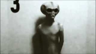 Real Grey Alien Footage Caught On Tape [upl. by Harlene]