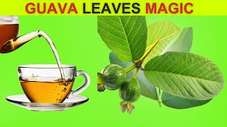 Incredible Benefits of Guava Leaves  11 Reasons To Drink [upl. by Delaryd]