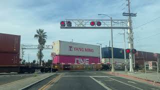 Pacific Harbor Line Stack Train In Wilmington Ca 102724 [upl. by Ayatnwahs]