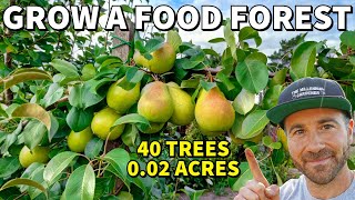 40 FRUIT TREES On 002 ACRES Turn ANY Size Yard Into A Thriving FOOD FOREST [upl. by Lou]