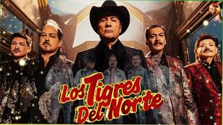 Los Tigres Indomables \\ Los Tigres del Norte 🪗 [upl. by Oswell]