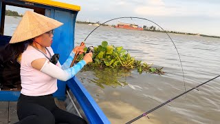 Không Ngờ Đụng Bầy Cá Tra Sông ĐỒNG NAI Kéo Đã Tay  Fishing on Dong Nai River [upl. by Sonja]