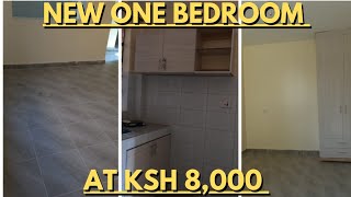 CHEAPEST And FANCY One BEDROOM In Rongai [upl. by Reger]