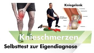 Knieschmerzen unter der Kniescheibe  Patellaspitzensyndrom Selbsttest  jumpers knee [upl. by Nauqyaj327]