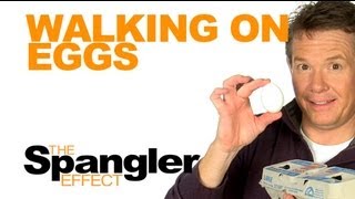 The Spangler Effect  Walking on Eggs Season 01 Episode 43 [upl. by Carol]