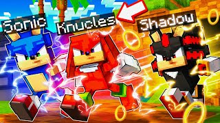 TROLEI O SONIC E KNUCKLES ME TRANSFORMANDO NO SHADOW [upl. by Johan]