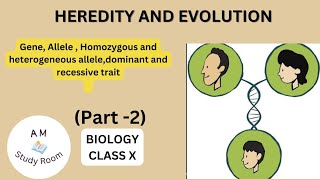 GenesAlleleshomozygous and heterozygous allele dominant and recessive trait class10 biology [upl. by Niemad]