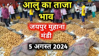 5 अगस्त 2024 जयपुर आलू मंडी भाव  आलू का भाव  today potato rate jaipur potato price today [upl. by Solracesoj]