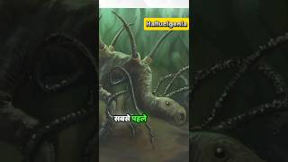 Hallucigenia Facts in Hindi facts Hallucigenia animalfacts [upl. by Refotsirk664]