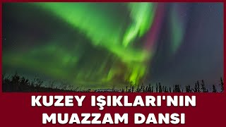 Alaska semalarında Kuzey Işıklarının muazzam dansı kamerada [upl. by Tien]